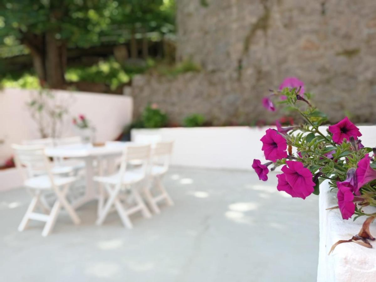 Easo Terrace Apartment Free Private Parking And Air Conditioning San Sebastián Exteriér fotografie